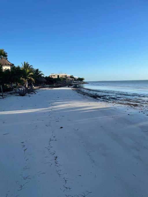 Casa Molly Apartment Isla Holbox Bagian luar foto